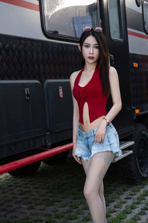 穿越雍正极品后宫